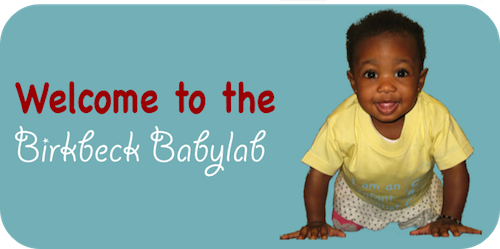 Welcome to the Babylab